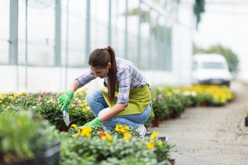 Regular watering and weeding practices