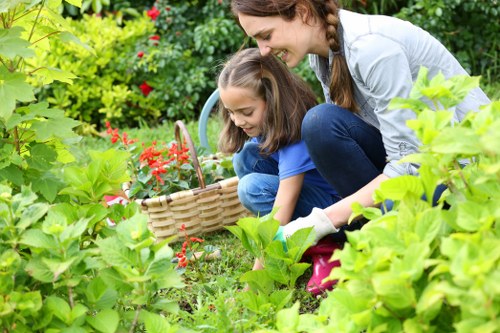 Pruning shrubs in a garden