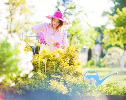 Expert hedge trimming services overview