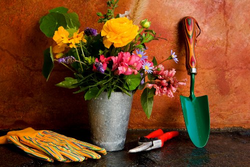 Professional pest management in Crouch End garden