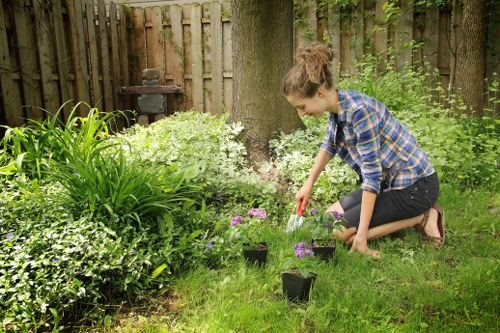 Seasonal lawn maintenance in Crouch End