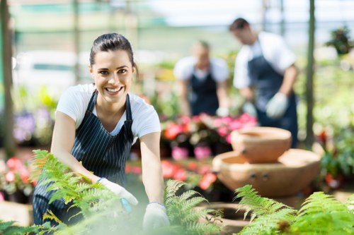 Efficient garden clearance services enhancing curb appeal